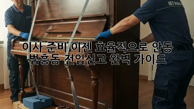이사 준비, 이젠 효율적으로! 안동 법흥동 전입신고 완벽 가이드