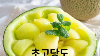 달콤한 유혹! 무료배송 머스크멜론 득템 후기와 꿀팁 대방출🍉